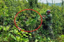 Dấu vết đáng ngờ trên thi thể người đàn ông được phát hiện trong rừng