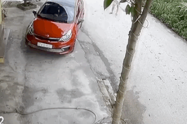 Những câu hỏi từ pha lùi xe của một tài xế nữ