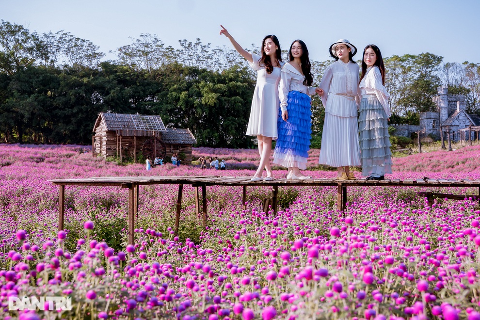 Lạc vào cánh đồng hoa tím lịm như trời Âu ở Hà Nội - 8 Lạc vào cánh đồng hoa tím lịm như trời Âu ở Hà Nội - 8