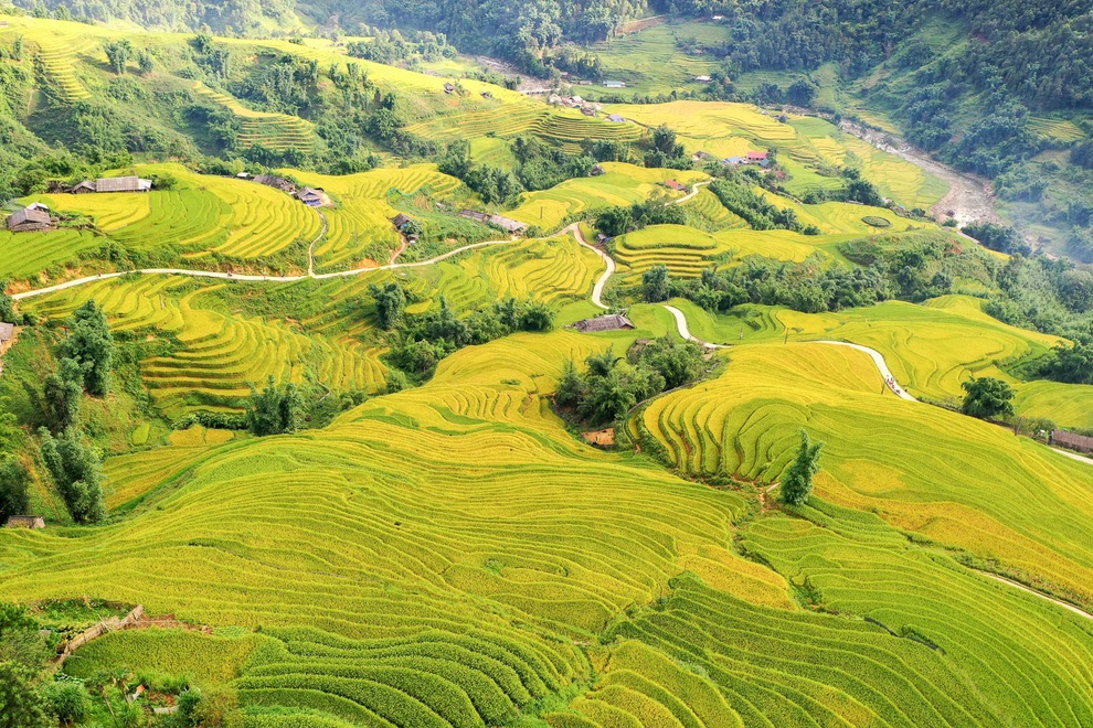 Sa Pa quyến rũ mùa lúa thay màu! - 6 Sa Pa quyến rũ mùa lúa thay màu! - 6