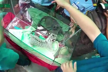 hotrangbelgansinh-22da7