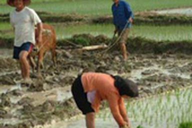 Cái giá phải trả của việc “đi trước thời gian”