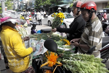 Nông dân phấn khởi vì trúng mùa huệ Tết