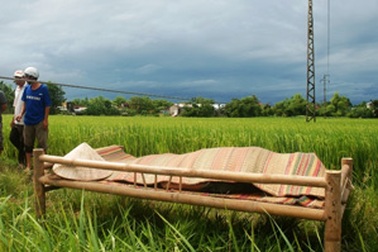 Một nông dân bị điện giật chết tại ruộng
