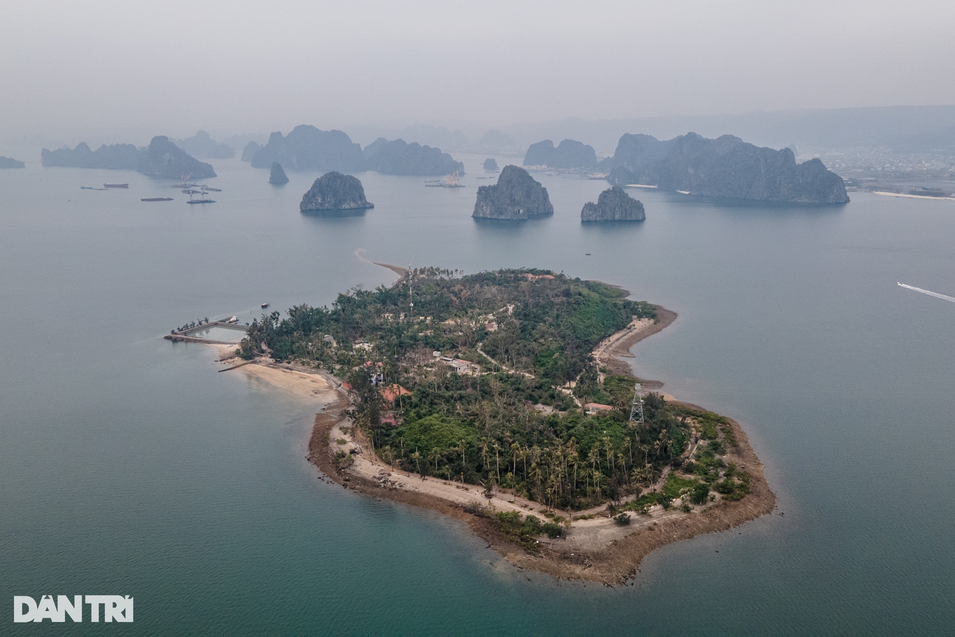 Đàn khỉ hơn 60 năm hiến thân cho y học Việt, có đài tưởng niệm riêng - 1 Đàn khỉ hơn 60 năm hiến thân cho y học Việt, có đài tưởng niệm riêng - 1