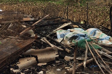 Đang dự chào cờ, thầy giáo nhận tin nhà cháy