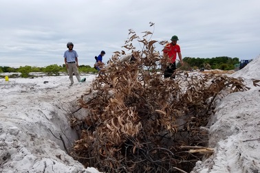 Vụ dân phải nộp tiền tiêu hủy lợn dịch tả: Xã đã trả lại tiền