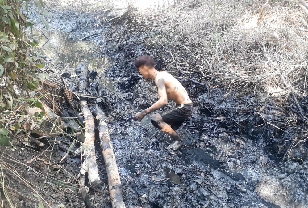 Háo hức tát ao, bắt cá ngày Tết - 5