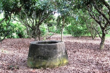 Hiếp dâm bé gái 13 tuổi rồi ném xuống giếng phi tang