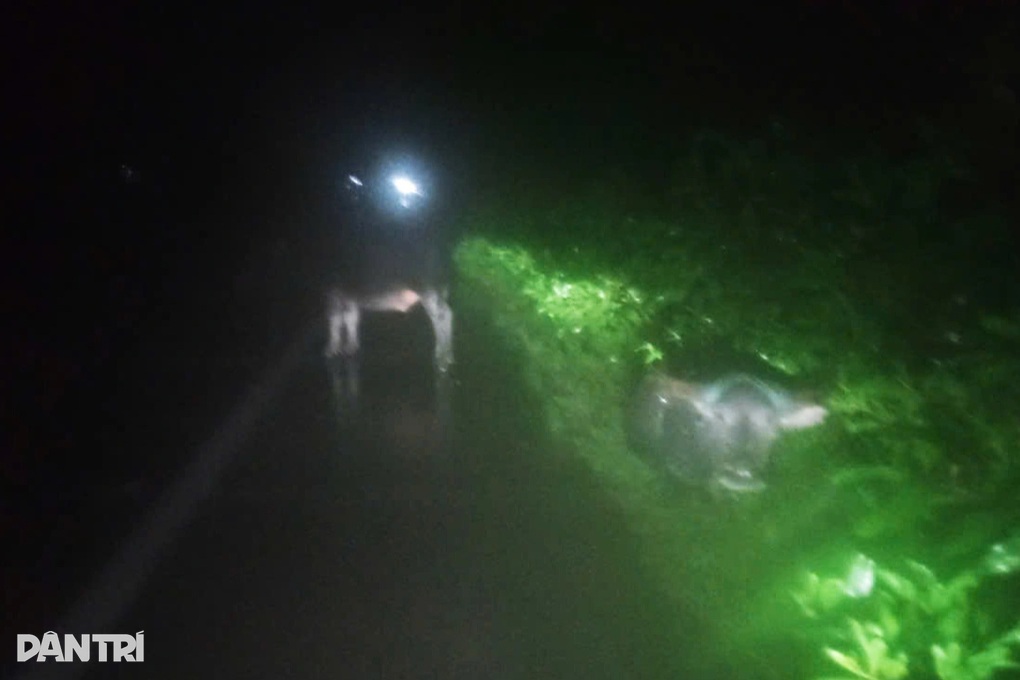 Trâu đứng giữa đường trong mưa lớn, nhiều tài xế giật mình - 2 Trâu đứng giữa đường trong mưa lớn, nhiều tài xế giật mình - 2