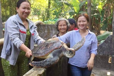 Phát hiện con vích lớn quý hiếm trong hồ nuôi cua