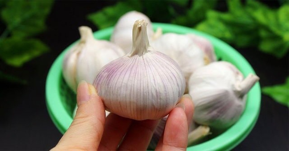 Mẹo đuổi kiến tự nhiên, an toàn tại nhà không cần dùng đến thuốc - 2 Mẹo đuổi kiến tự nhiên, an toàn tại nhà không cần dùng đến thuốc - 2