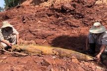 Nhiều bom, đạn pháo “khủng” lộ thiên sau mưa lũ