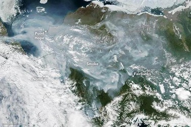 Bầu trời Bắc Cực đang đổi màu xám đen đáng sợ