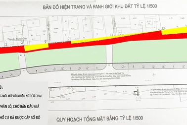 Lấy đất bán đấu giá, quy hoạch cho dân đường rộng... 1m ?
