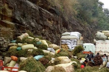 Rộ tin đồn người dân ồ ạt đào thông đất bán cho thương lái Trung Quốc