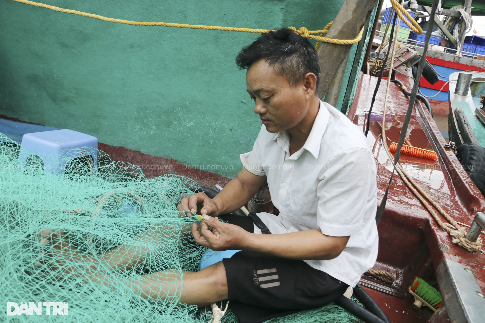 Ngư dân Hải Phòng lo lắng trước khi bão Yagi đổ bộ vào đất liền - 5 Ngư dân Hải Phòng lo lắng trước khi bão Yagi đổ bộ vào đất liền - 5