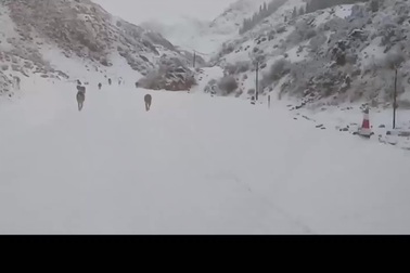 Nhóm du khách bị bầy sói bao vây giữa thung lũng đầy tuyết