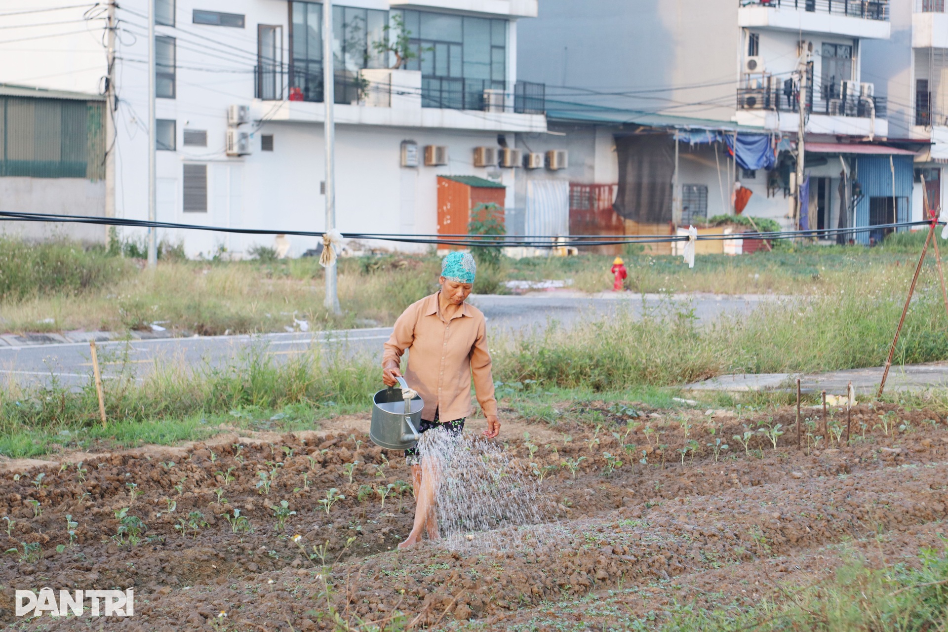 Hiện trạng dự án khu dân cư có ngôi mộ án ngữ giữa đường ở Hải Phòng - 9