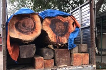 Bị phát hiện chở gỗ lậu, nhóm đối tượng vứt tang vật bỏ chạy