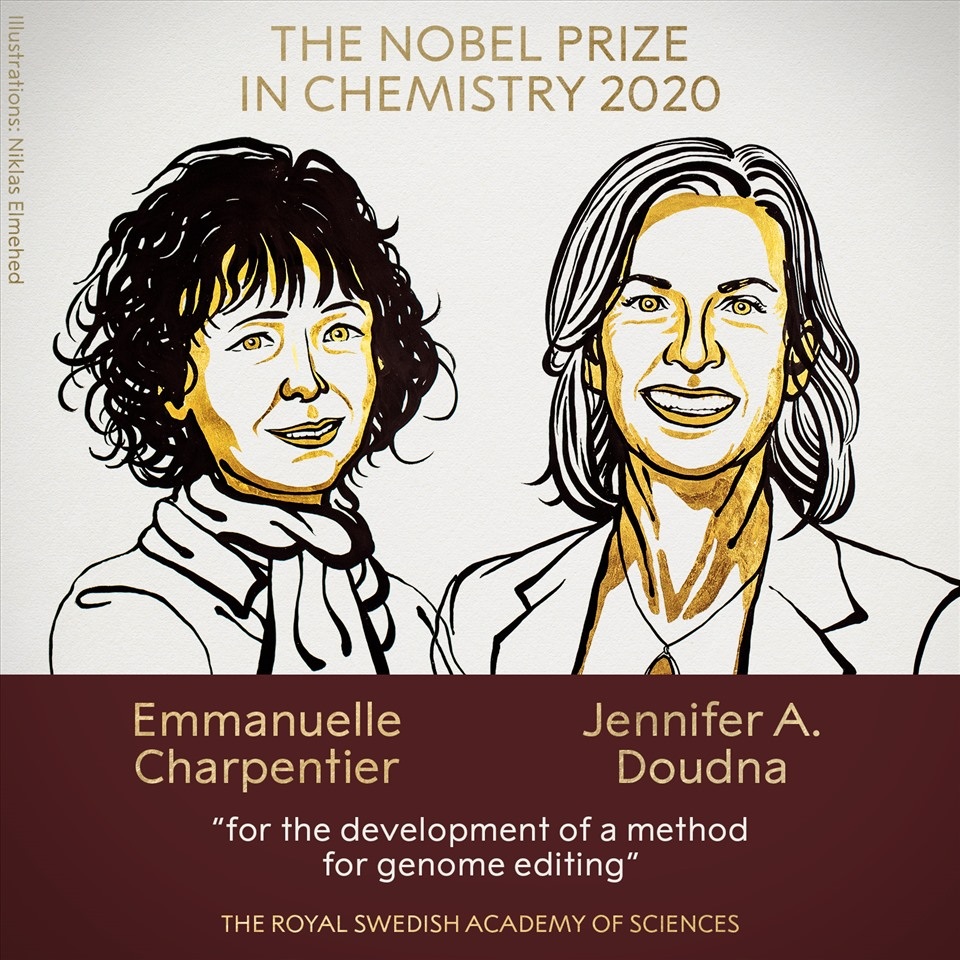 Chìa khóa nào giúp hai nữ Tiến sĩ giành giải Nobel Hoá học năm 2020? - 2 Chìa khóa nào giúp hai nữ Tiến sĩ giành giải Nobel Hoá học năm 2020? - 2