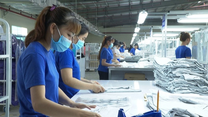 Toàn tỉnh Tây Ninh hiện có 5.786 doanh nghiệp, sử dụng tổng số 167.983 lao động