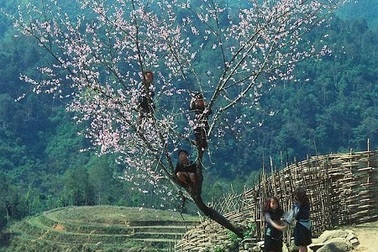 "Vùng núi phía Bắc Việt Nam là điểm đến ý nghĩa trên thế giới"