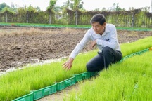 Vinh danh tiến sĩ nghỉ hưu bám đồng làm giống gạo ngon nhất thế giới