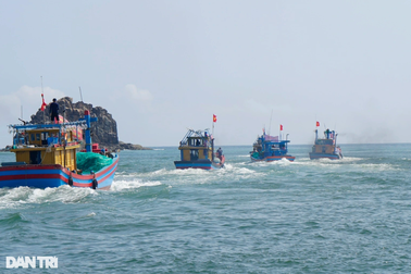 Bình Định nỗ lực gỡ "con sâu làm rầu nồi canh" trên ngư trường