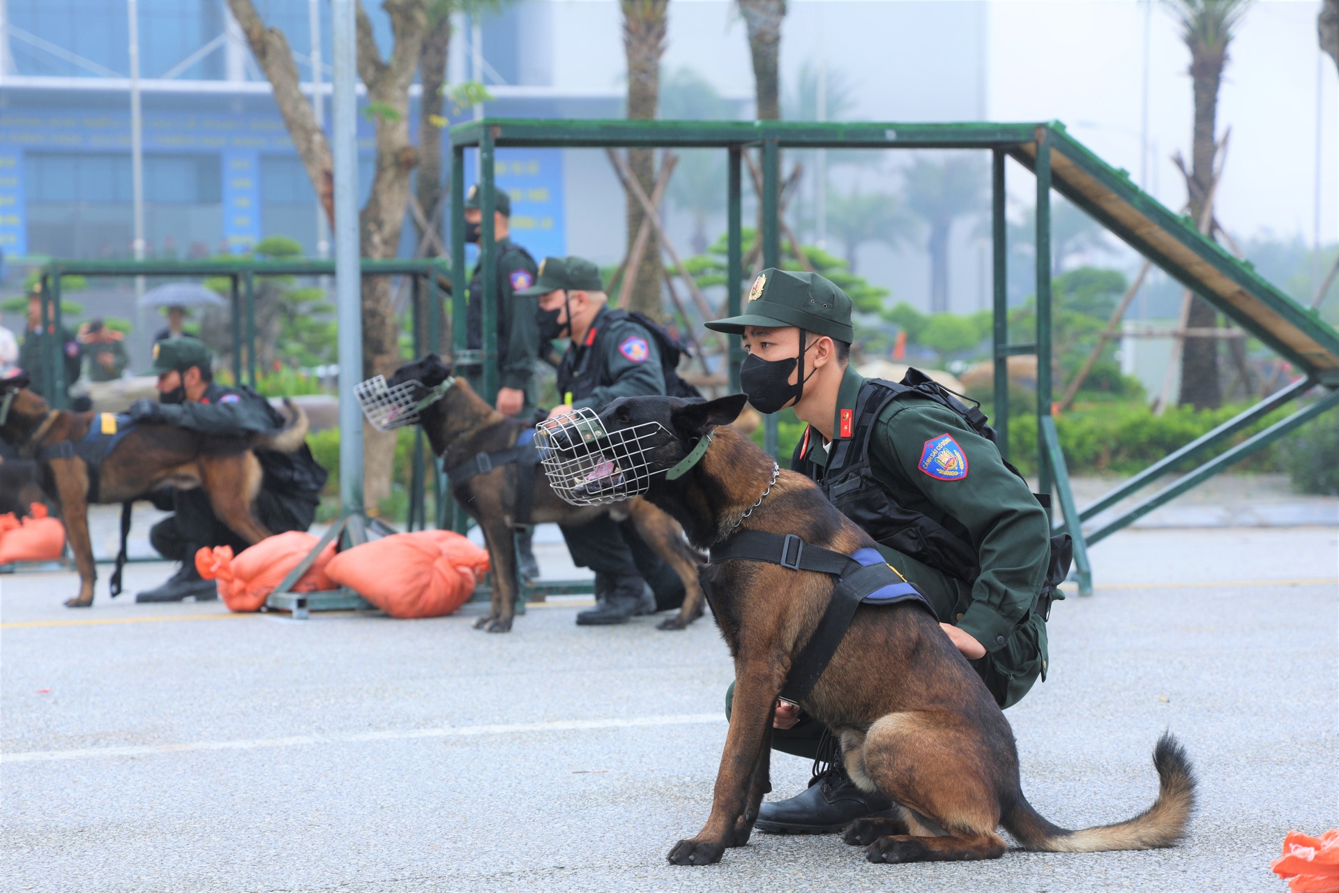 Nữ cảnh sát cơ động vận khí công phá đá, dao kề cổ kéo xe nặng hơn 1 tấn - 9