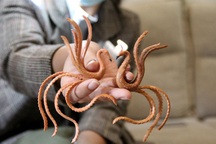 Thầy giáo dạy Toán "hô biến" bút chì thành rồng bay, phượng  múa