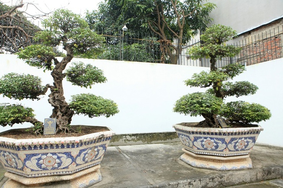 Lạc bước vào những khu vườn đắt giá như vàng ròng của các đại gia Việt - 11 Lạc bước vào những khu vườn đắt giá như vàng ròng của các đại gia Việt - 11
