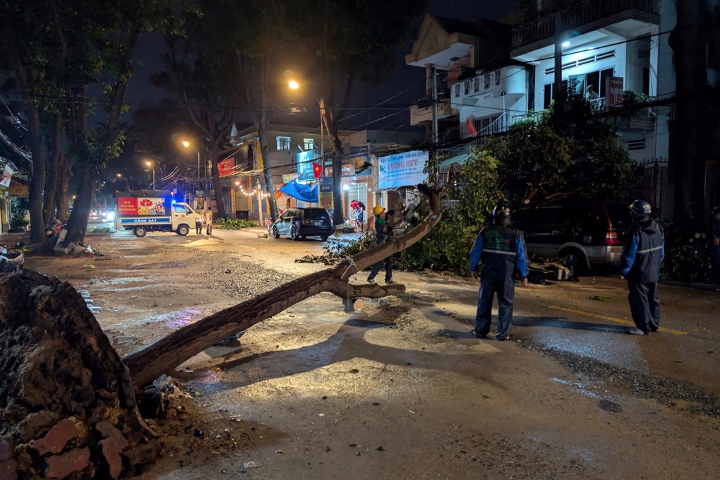 Cây đổ đè người đi xe máy ở TPHCM - 2 Cây đổ đè người đi xe máy ở TPHCM - 2