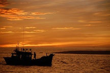 Quảng Bình tổ chức festival biển và hải đảo