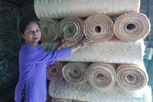 Phồng tay, bật máu với nghề đan cót