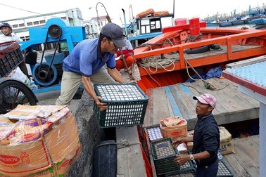 Hối hả đưa Tết ra đảo tiền tiêu