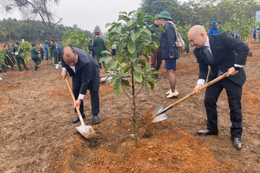 Toyota tích cực đồng hành cùng lễ phát động Tết trồng cây xuân Quý Mão 2023
