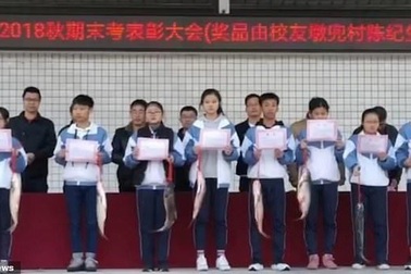 Tại sao trường học tặng cá chép cho học sinh giỏi về ăn Tết?