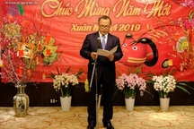 Đại sứ quán Việt Nam tại Nhật Bản tổ chức Tết Cộng đồng 2019