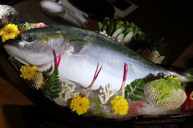 Đại gia ăn 'cá năm mới' Nhật: Truyền tai nhau, sống thọ thêm 5 tuổi