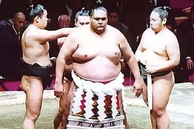 Những sự thật ít người biết về các đô vật Sumo