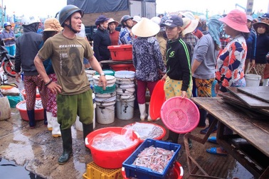 Sau Tết, hàng thủy sản bán chạy như tôm tươi, lái buôn “giành” nhau mua
