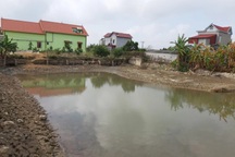 Bí ẩn bãi cọc gỗ dưới lòng đất ở Bắc Giang