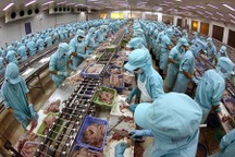 Bà Diệu Hiền sẽ về Việt Nam sau hai tháng nữa?