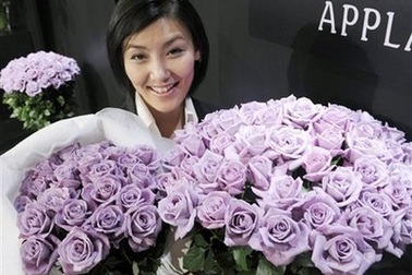 Hoa hồng xanh tham gia thị trường hoa ở Nhật