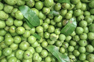 Mê sấu non đầu mùa, giới nội trợ vung tiền triệu trữ ăn dần