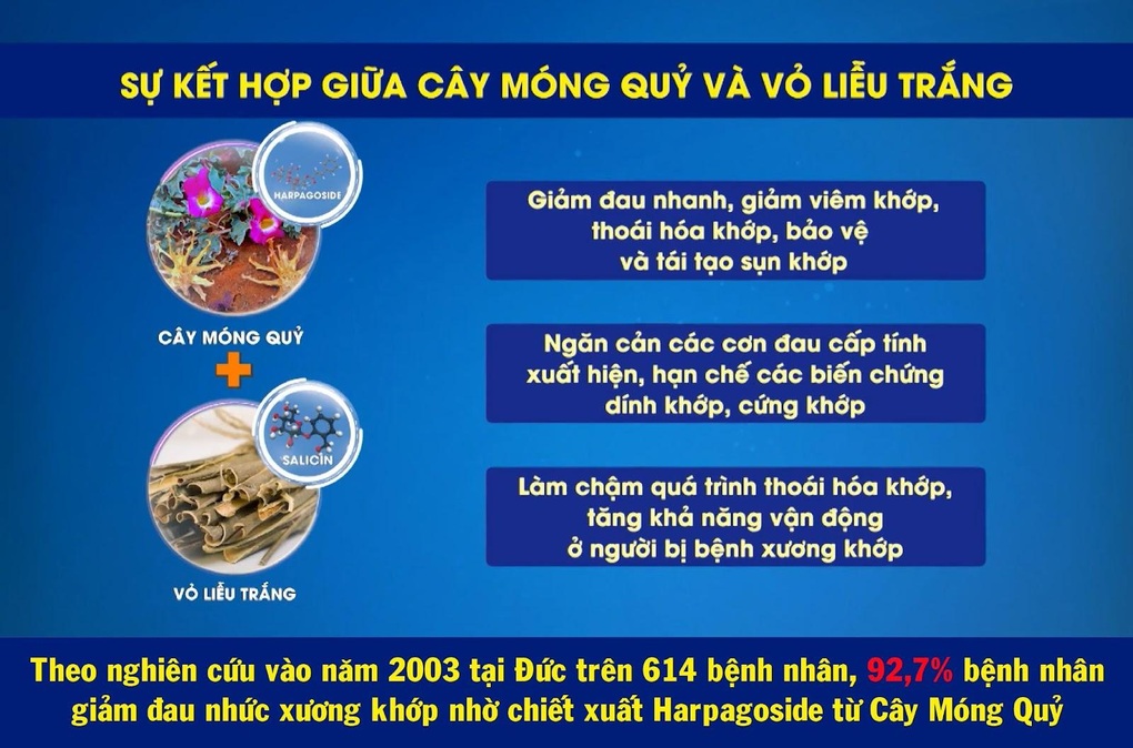 Cây móng quỷ, vỏ liễu trắng - khắc tinh của đau nhức xương khớp - 3 Cây móng quỷ, vỏ liễu trắng - khắc tinh của đau nhức xương khớp - 3