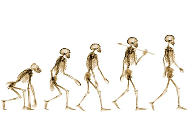 Khám phá làm lung lay giả thuyết loài người có nguồn gốc từ châu Phi