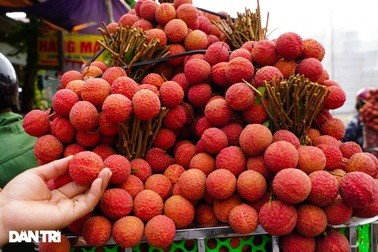 Bắc Giang tổng kết vụ vải, thành tích "khủng" ngang ngửa năm ngoái