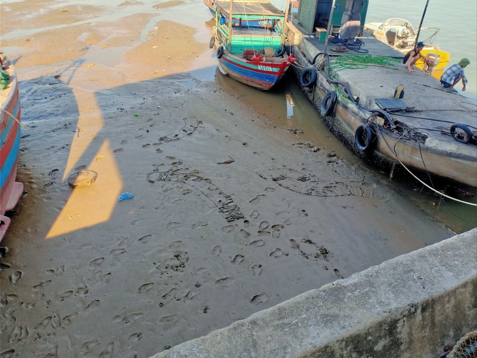 Cầu cảng bị bồi lấp nghiêm trọng, tàu thuyền không thể ra vào - 1 Cầu cảng bị bồi lấp nghiêm trọng, tàu thuyền không thể ra vào - 1